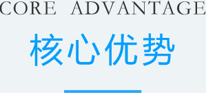 核心优势